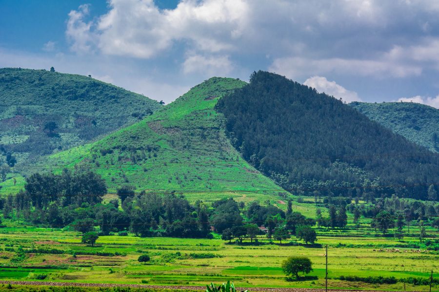 Araku Valley